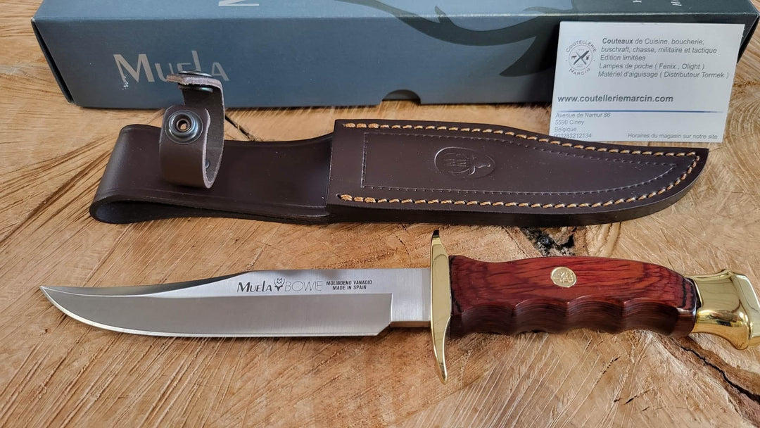 Muela BW16 Couteau de chasse Lame Bowie de 16 cm avec garde - 