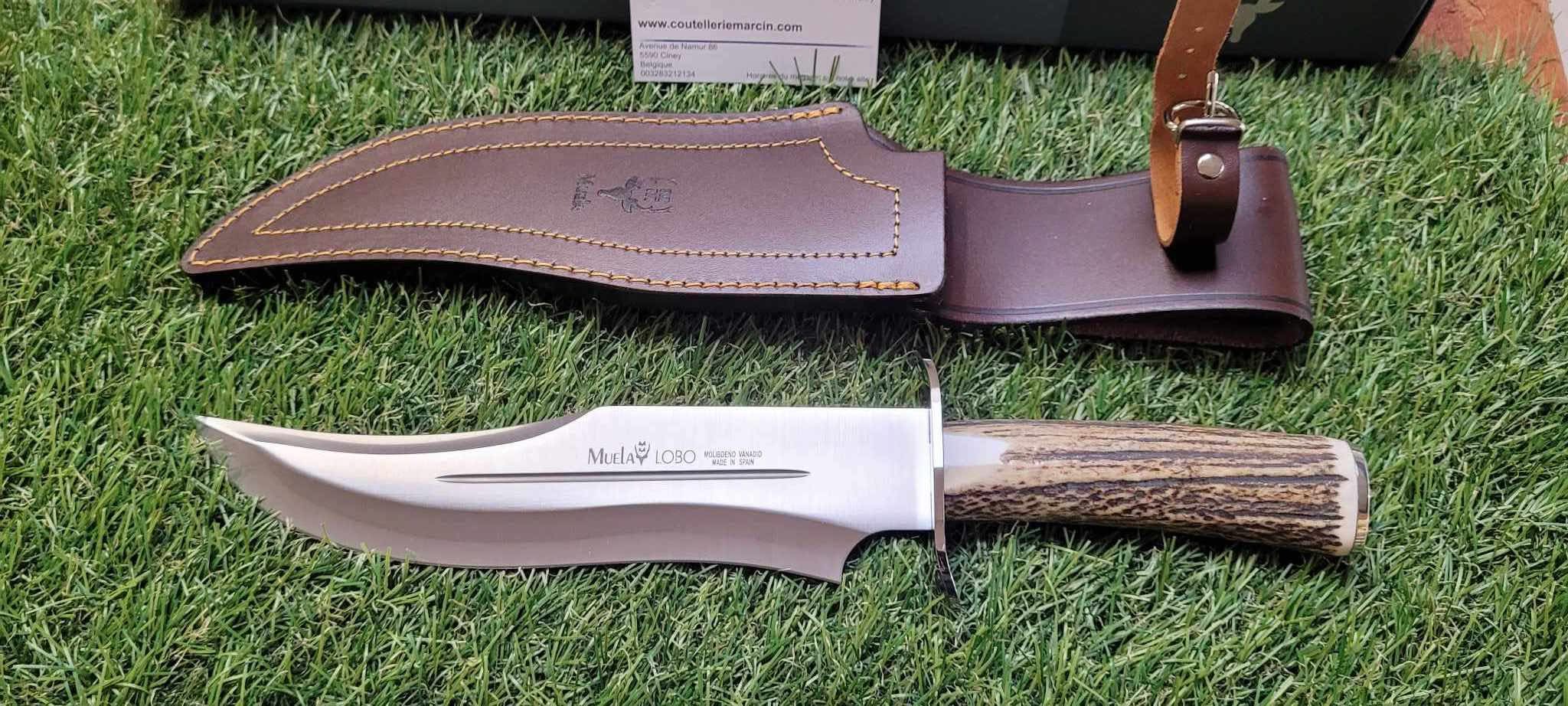 43660.jpg?v=1742039129&width=1000