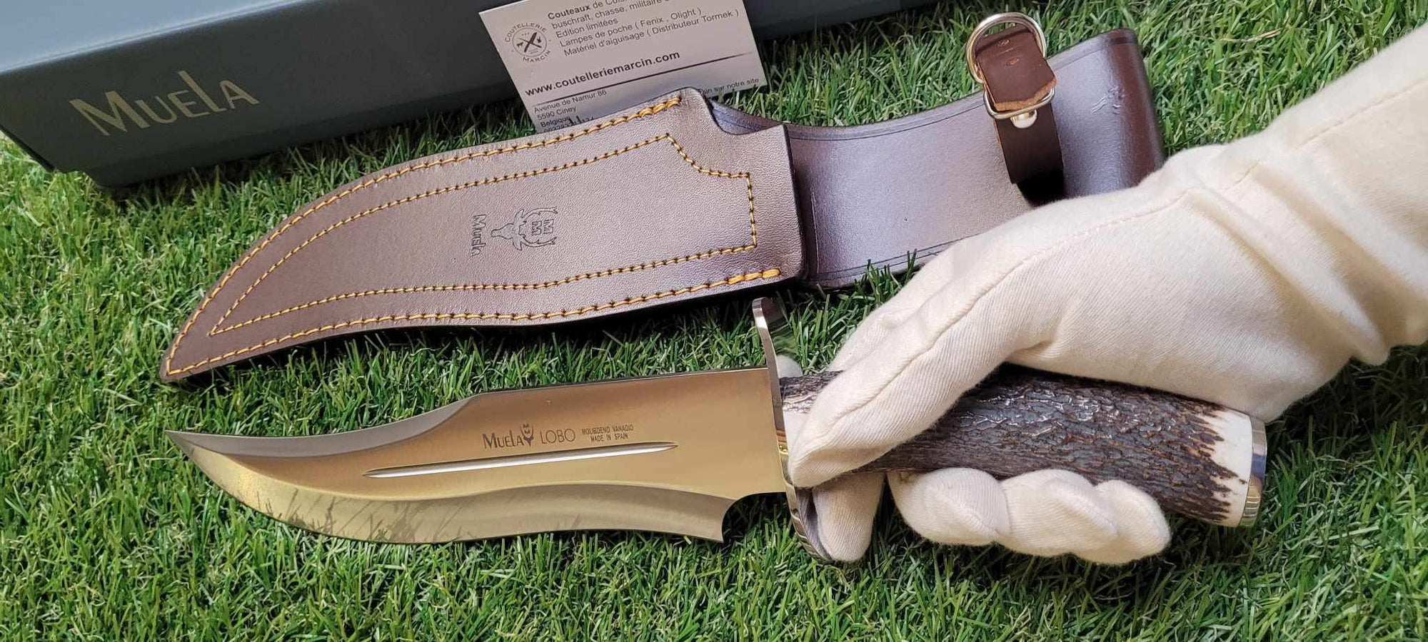 Muela 23A Lobo Couteau de chasse lame Bowie avec étui cuir - 
