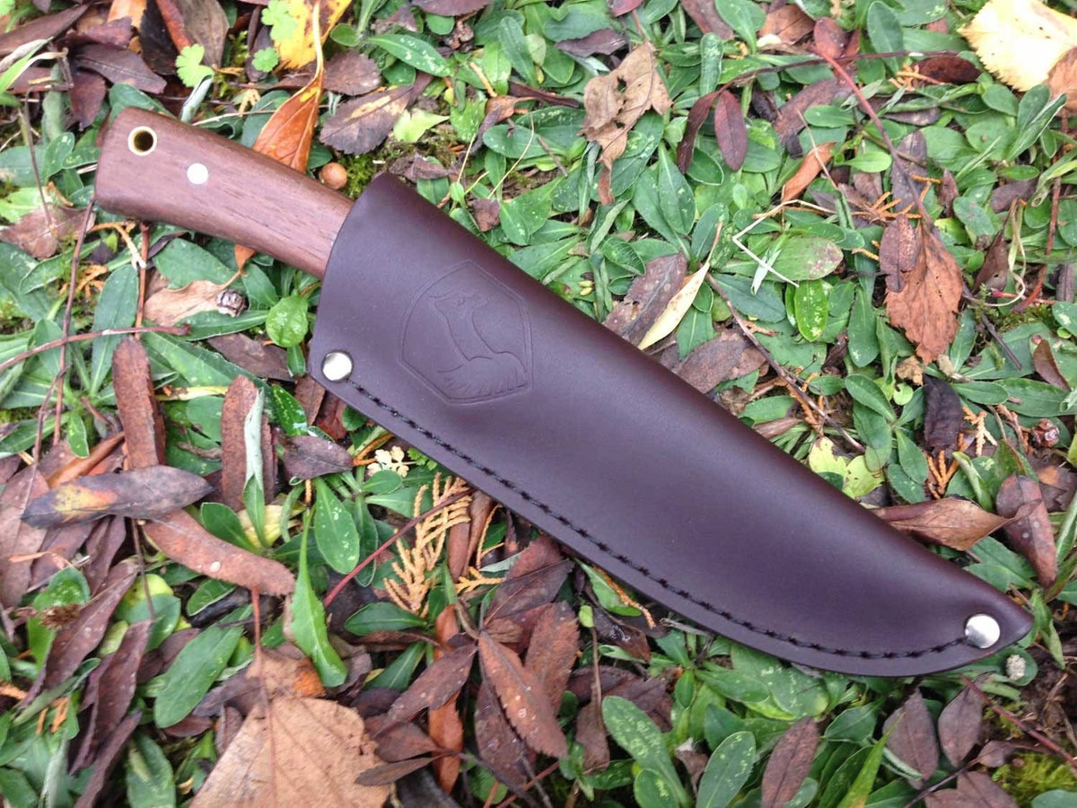 Condor Stratos - 