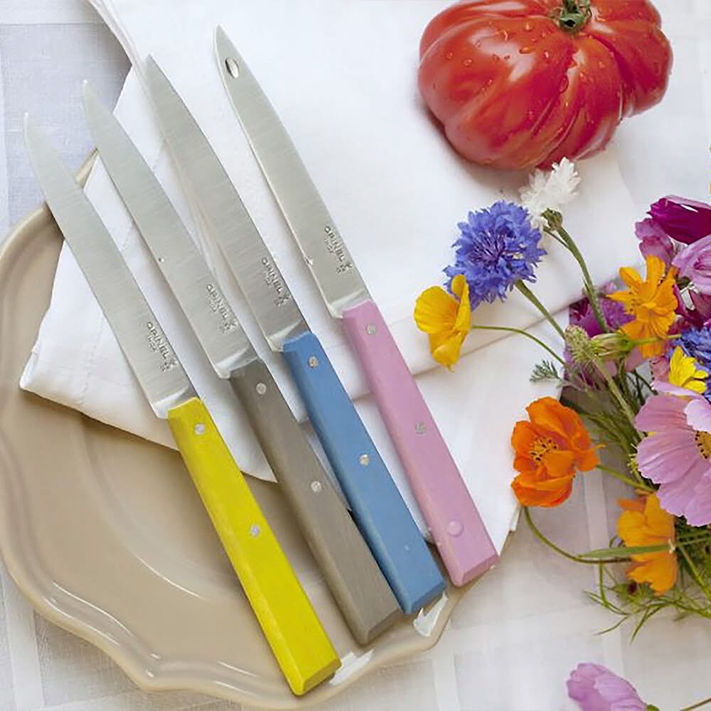 Coffret de 4 couteaux de table N°125 Bon Appétit - 