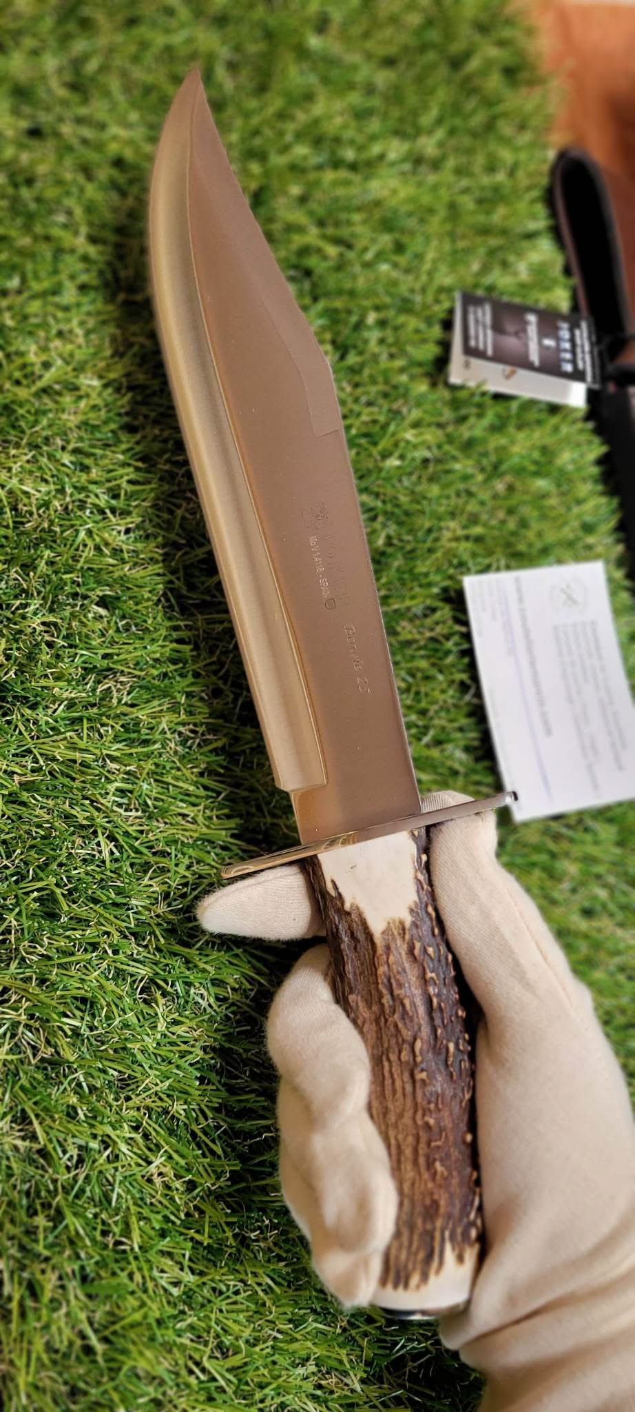 Joker Bowie , Bois de cerf - 